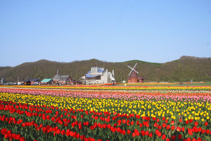 上湧別チューリップ公園.jpg