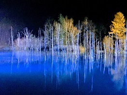 青い池 ライトアップ.jpg