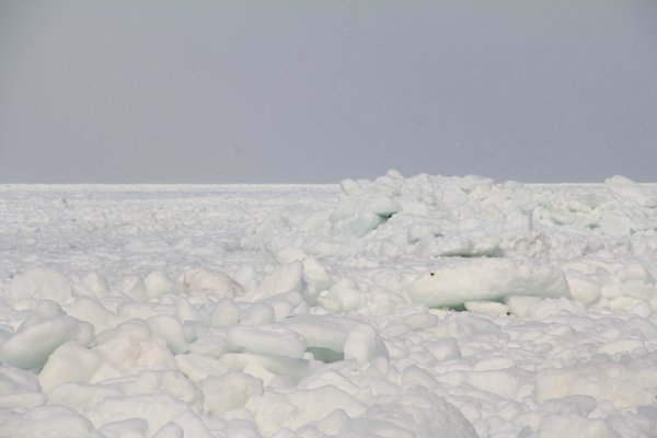 ウトロ流氷.jpg