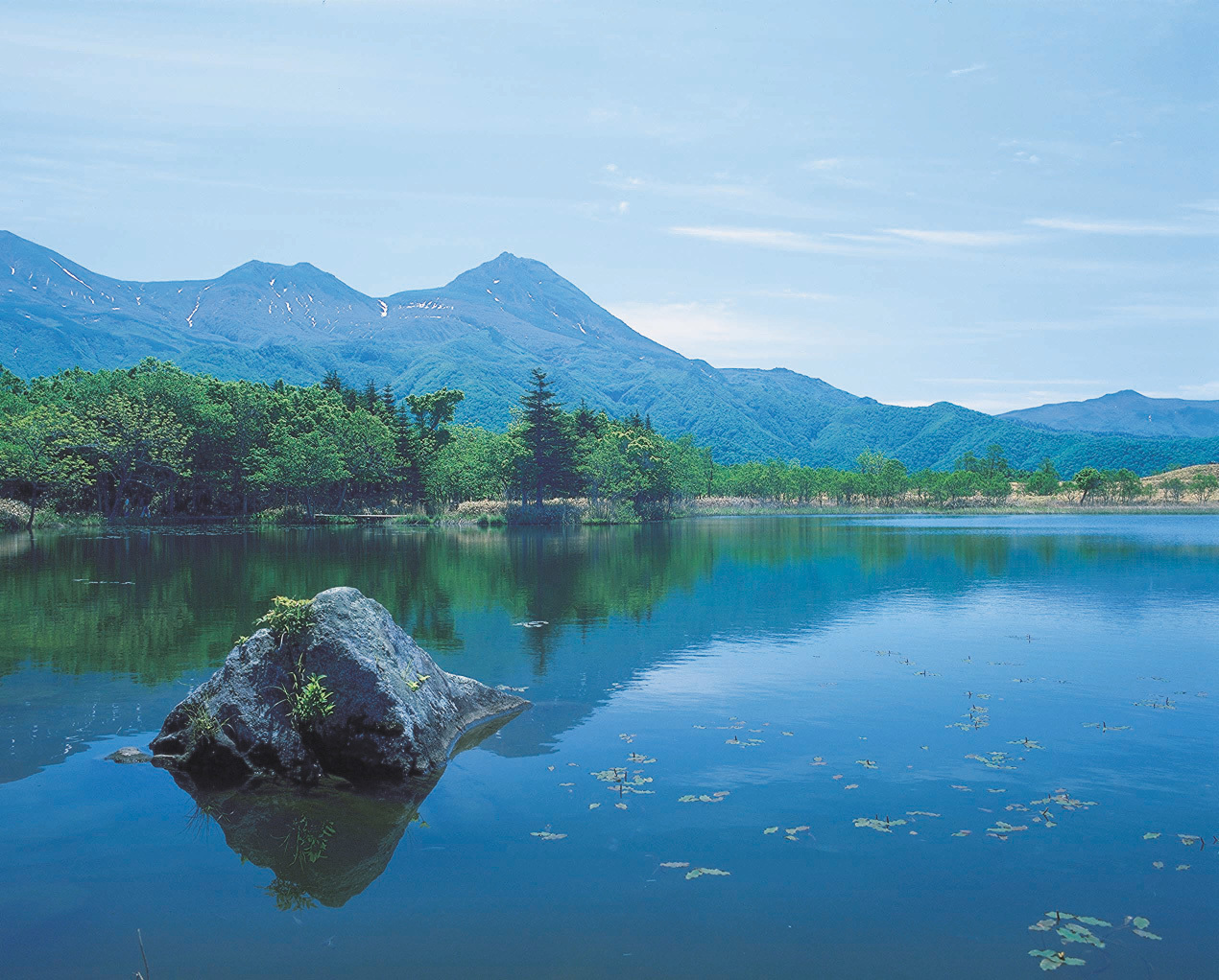 夏の知床五湖.jpg