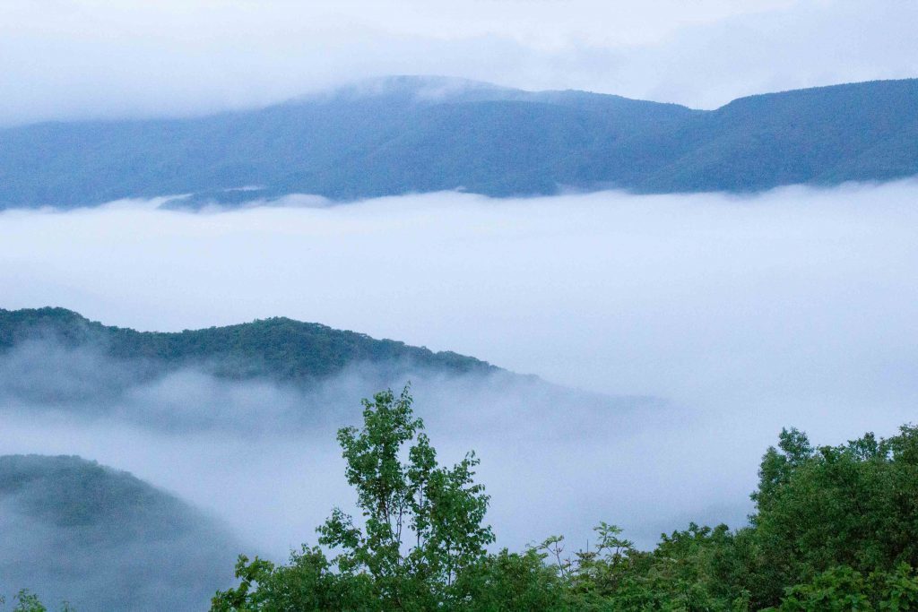 小樽雲海.jpg